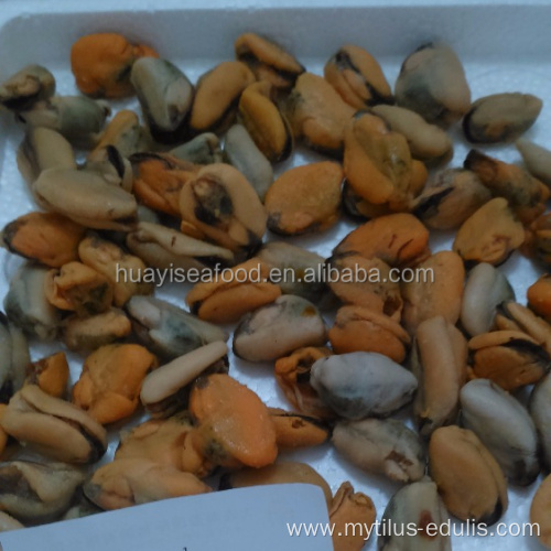 wholesale shellfish delicious and tasty seafood mussel meat